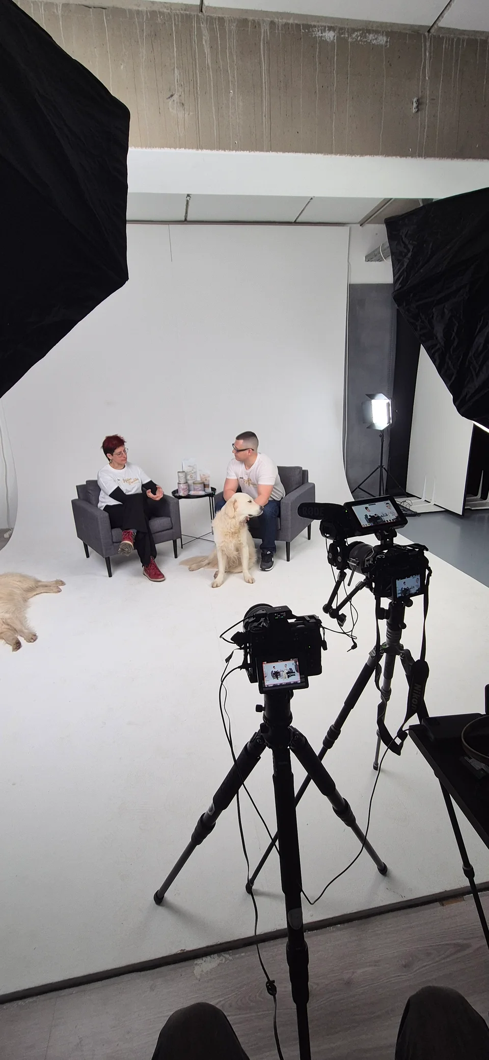 Kamera und Softboxen vor einem Interview-Set im Studio
